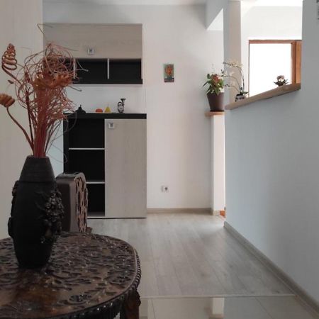 Apartament Trei Stejari Сібіу Екстер'єр фото